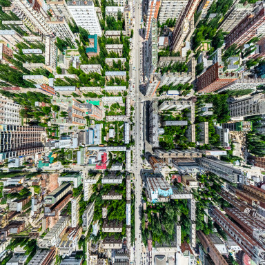 Aerial view, buildings and urban greenery