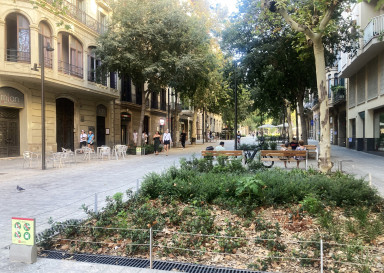 Street view, fenced garden and trees in between a row of houses